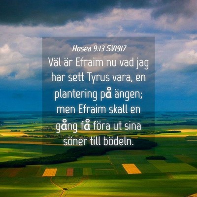 Picture 04 - Hosea 9:13 SV1917 - Väl är Efraim nu vad jag har sett Tyrus vara, - Bible Verse Picture