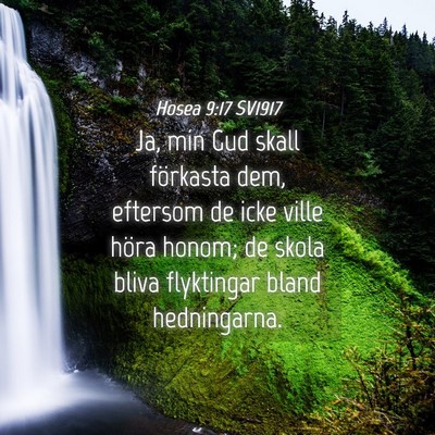 Picture 04 - Hosea 9:17 SV1917 - Ja, min Gud skall förkasta dem, eftersom de icke - Bible Verse Picture