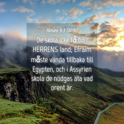 Picture 04 - Hosea 9:3 SV1917 - De skola icke få bo i HERRENS land; Efraim - Bible Verse Picture