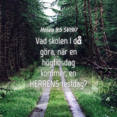 Picture 04 - Hosea 9:5 SV1917 - Vad skolen I då göra, när en högtidsdag - Bible Verse Picture