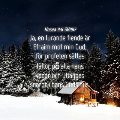 Picture 04 - Hosea 9:8 SV1917 - Ja, en lurande fiende är Efraim mot min Gud; - Bible Verse Picture