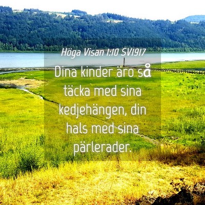 Picture 04 - Höga Visan 1:10 SV1917 - Dina kinder äro så täcka med sina - Bible Verse Picture