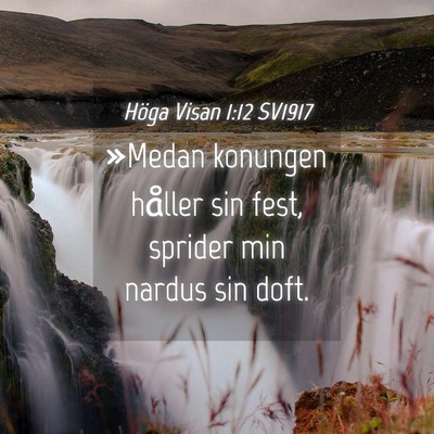 Picture 04 - Höga Visan 1:12 SV1917 - »Medan konungen håller sin fest, sprider min - Bible Verse Picture