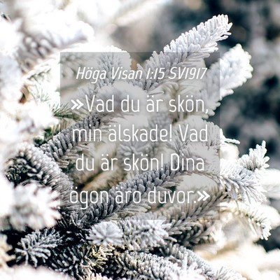 Picture 04 - Höga Visan 1:15 SV1917 - »Vad du är skön, min älskade! Vad du är - Bible Verse Picture