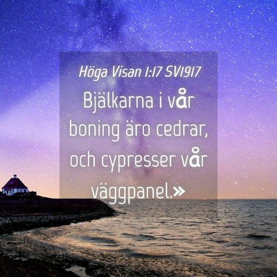 Picture 04 - Höga Visan 1:17 SV1917 - Bjälkarna i vår boning äro cedrar, och - Bible Verse Picture