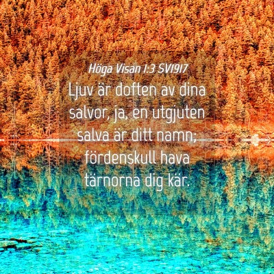 Picture 04 - Höga Visan 1:3 SV1917 - Ljuv är doften av dina salvor, ja, en utgjuten - Bible Verse Picture