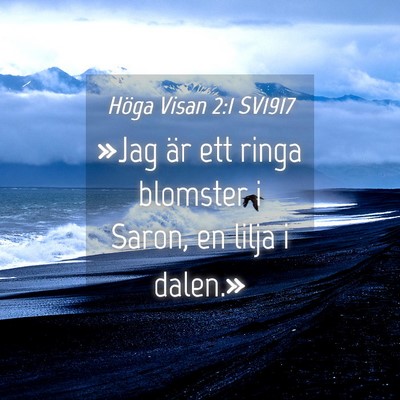 Picture 04 - Höga Visan 2:1 SV1917 - »Jag är ett ringa blomster i Saron, en lilja i - Bible Verse Picture