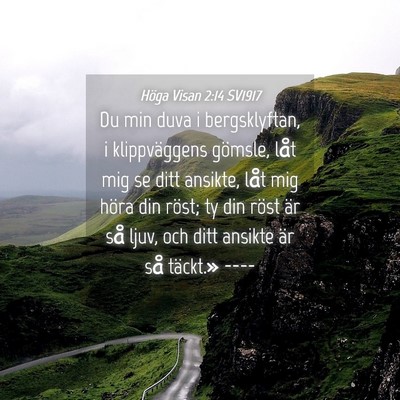 Picture 04 - Höga Visan 2:14 SV1917 - Du min duva i bergsklyftan, i klippväggens - Bible Verse Picture