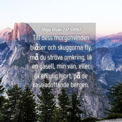 Picture 04 - Höga Visan 2:17 SV1917 - Till dess morgonvinden blåser och skuggorna fly, - Bible Verse Picture