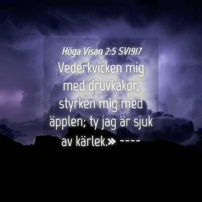 Picture 04 - Höga Visan 2:5 SV1917 - Vederkvicken mig med druvkakor, styrken mig med - Bible Verse Picture