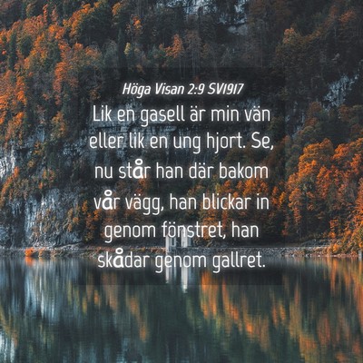 Picture 04 - Höga Visan 2:9 SV1917 - Lik en gasell är min vän eller lik en ung - Bible Verse Picture