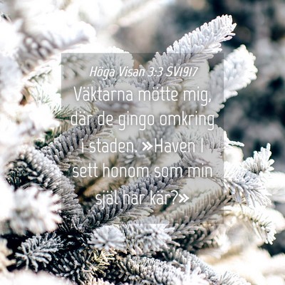 Picture 04 - Höga Visan 3:3 SV1917 - Väktarna mötte mig, där de gingo omkring i - Bible Verse Picture