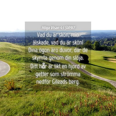 Picture 04 - Höga Visan 4:1 SV1917 - Vad du är skön, min älskade, vad du är skön! - Bible Verse Picture