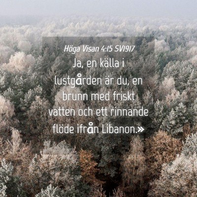 Picture 04 - Höga Visan 4:15 SV1917 - Ja, en källa i lustgården är du, en brunn med - Bible Verse Picture