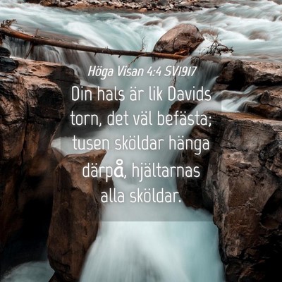 Picture 04 - Höga Visan 4:4 SV1917 - Din hals är lik Davids torn, det väl befästa; - Bible Verse Picture