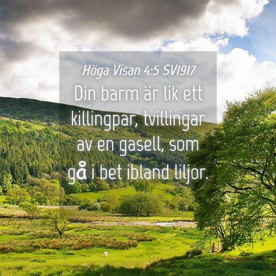 Picture 04 - Höga Visan 4:5 SV1917 - Din barm är lik ett killingpar, tvillingar av en - Bible Verse Picture