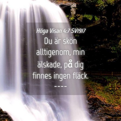 Picture 04 - Höga Visan 4:7 SV1917 - Du är skön alltigenom, min älskade, på dig - Bible Verse Picture