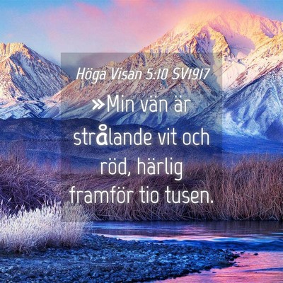 Picture 04 - Höga Visan 5:10 SV1917 - »Min vän är strålande vit och röd, härlig - Bible Verse Picture