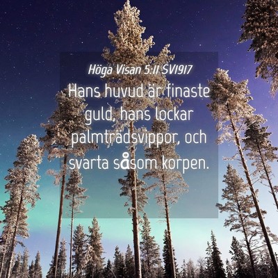Picture 04 - Höga Visan 5:11 SV1917 - Hans huvud är finaste guld, hans lockar - Bible Verse Picture