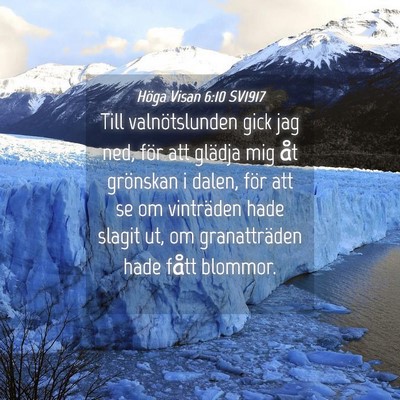 Picture 04 - Höga Visan 6:10 SV1917 - Till valnötslunden gick jag ned, för att - Bible Verse Picture