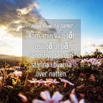 Picture 04 - Höga Visan 7:11 SV1917 - Kom, min vän; låt oss gå ut på landsbygden - Bible Verse Picture