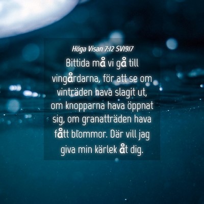 Picture 04 - Höga Visan 7:12 SV1917 - Bittida må vi gå till vingårdarna, för att se - Bible Verse Picture