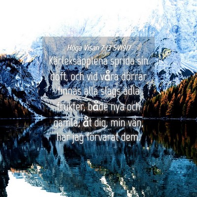 Picture 04 - Höga Visan 7:13 SV1917 - Kärleksäpplena sprida sin doft, och vid våra - Bible Verse Picture