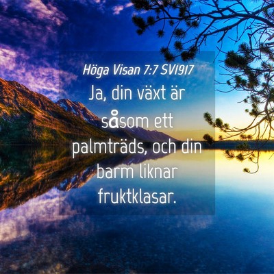 Picture 04 - Höga Visan 7:7 SV1917 - Ja, din växt är såsom ett palmträds, och din - Bible Verse Picture