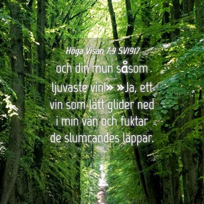 Picture 04 - Höga Visan 7:9 SV1917 - och din mun såsom ljuvaste vin!» »Ja, ett vin - Bible Verse Picture