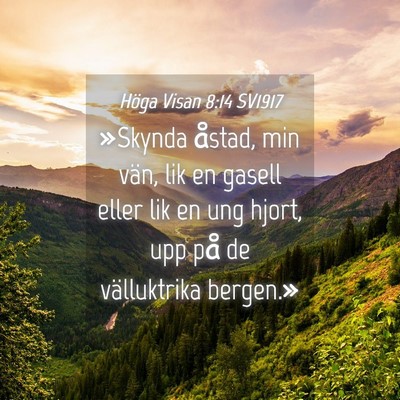 Picture 04 - Höga Visan 8:14 SV1917 - »Skynda åstad, min vän, lik en gasell eller - Bible Verse Picture