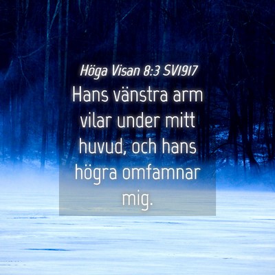 Picture 04 - Höga Visan 8:3 SV1917 - Hans vänstra arm vilar under mitt huvud, och - Bible Verse Picture