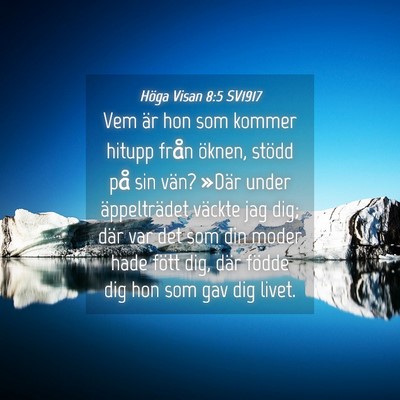 Picture 04 - Höga Visan 8:5 SV1917 - Vem är hon som kommer hitupp från öknen, - Bible Verse Picture
