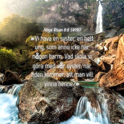 Picture 04 - Höga Visan 8:8 SV1917 - »Vi hava en syster, en helt ung, som ännu icke - Bible Verse Picture