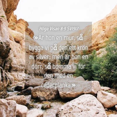Picture 04 - Höga Visan 8:9 SV1917 - »Är hon en mur, så bygga vi på den ett krön - Bible Verse Picture