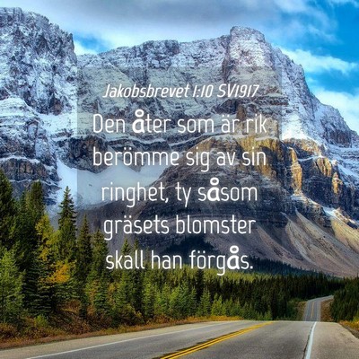 Picture 04 - Jakobsbrevet 1:10 SV1917 - Den åter som är rik berömme sig av sin - Bible Verse Picture