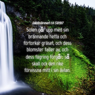 Picture 04 - Jakobsbrevet 1:11 SV1917 - Solen går upp med sin brännande hetta och - Bible Verse Picture