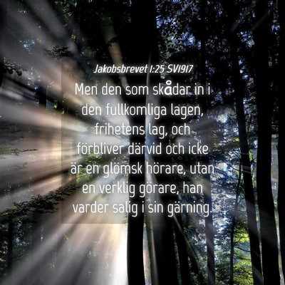 Picture 04 - Jakobsbrevet 1:25 SV1917 - Men den som skådar in i den fullkomliga lagen, - Bible Verse Picture