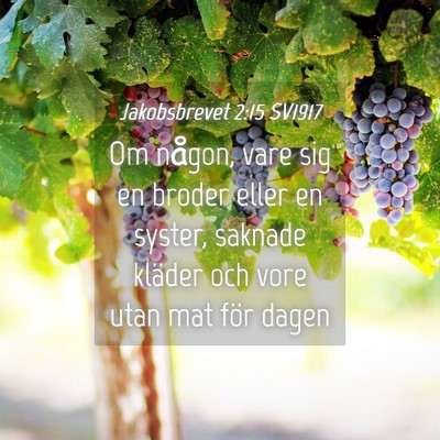 Picture 04 - Jakobsbrevet 2:15 SV1917 - Om någon, vare sig en broder eller en syster, - Bible Verse Picture