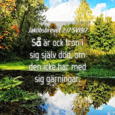 Picture 04 - Jakobsbrevet 2:17 SV1917 - Så är ock tron i sig själv död, om den icke - Bible Verse Picture