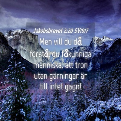 Picture 04 - Jakobsbrevet 2:20 SV1917 - Men vill du då förstå, du fåkunniga - Bible Verse Picture