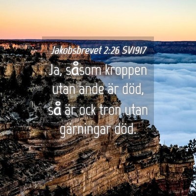Picture 04 - Jakobsbrevet 2:26 SV1917 - Ja, såsom kroppen utan ande är död, så är - Bible Verse Picture
