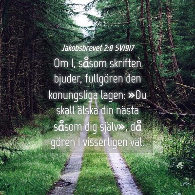 Picture 04 - Jakobsbrevet 2:8 SV1917 - Om I, såsom skriften bjuder, fullgören den - Bible Verse Picture