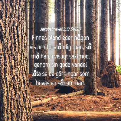 Picture 04 - Jakobsbrevet 3:13 SV1917 - Finnes bland eder någon vis och förståndig - Bible Verse Picture