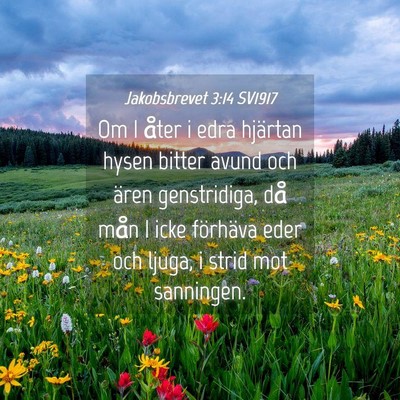 Picture 04 - Jakobsbrevet 3:14 SV1917 - Om I åter i edra hjärtan hysen bitter avund och - Bible Verse Picture