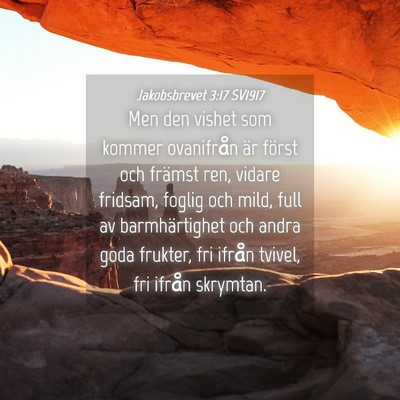 Picture 04 - Jakobsbrevet 3:17 SV1917 - Men den vishet som kommer ovanifrån är först - Bible Verse Picture