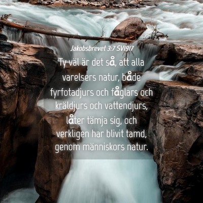 Picture 04 - Jakobsbrevet 3:7 SV1917 - Ty väl är det så, att alla varelsers natur, - Bible Verse Picture