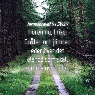 Picture 04 - Jakobsbrevet 5:1 SV1917 - Hören nu, I rike: Gråten och jämren eder över - Bible Verse Picture