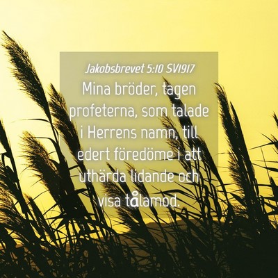 Picture 04 - Jakobsbrevet 5:10 SV1917 - Mina bröder, tagen profeterna, som talade i - Bible Verse Picture