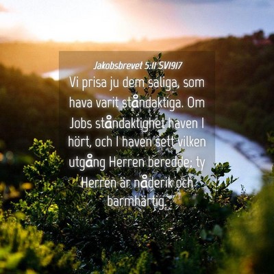 Picture 04 - Jakobsbrevet 5:11 SV1917 - Vi prisa ju dem saliga, som hava varit - Bible Verse Picture