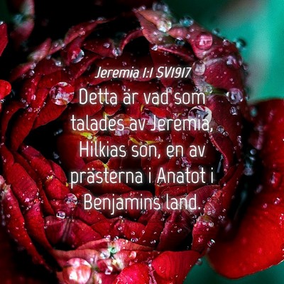 Picture 04 - Jeremia 1:1 SV1917 - Detta är vad som talades av Jeremia, Hilkias - Bible Verse Picture